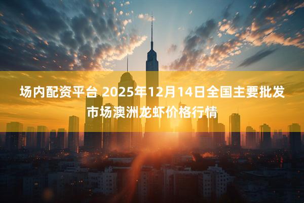 场内配资平台 2025年12月14日全国主要批发市场澳洲龙虾价格行情